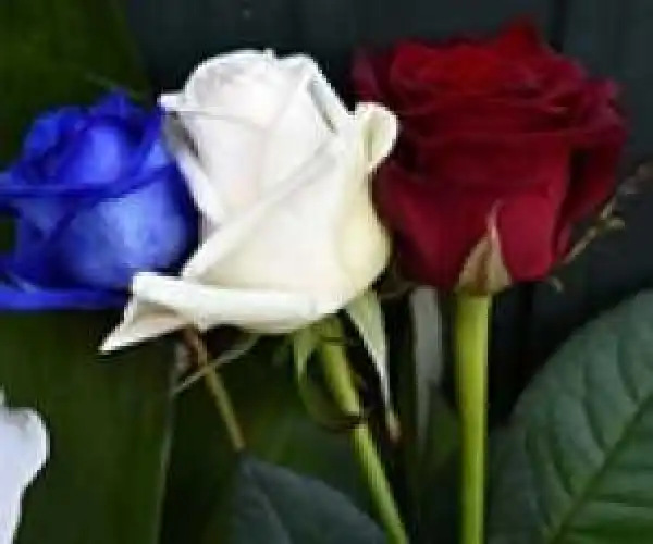 Paris Attacks: Police Hunt 